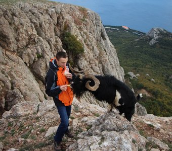 встреча с дикой природой