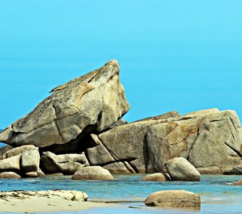Творение моря. "Морская черепаха" на камнях.