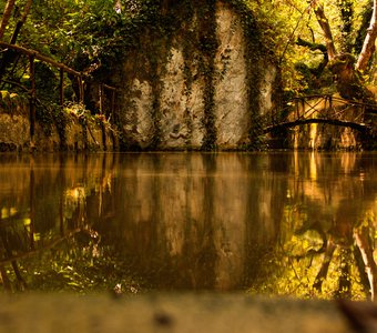 Парк Родини