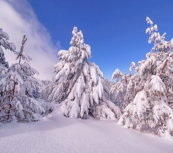 Зимняя сказка горы Ай-Петри