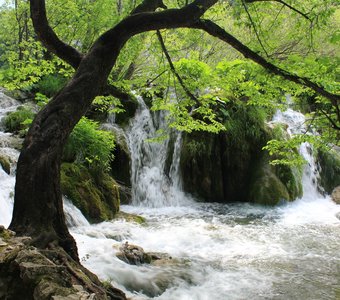 Сила воды