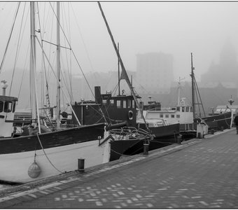 A walk with the Dog early on a misty morning