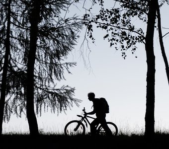 Силуэт велосипедиста в лесу