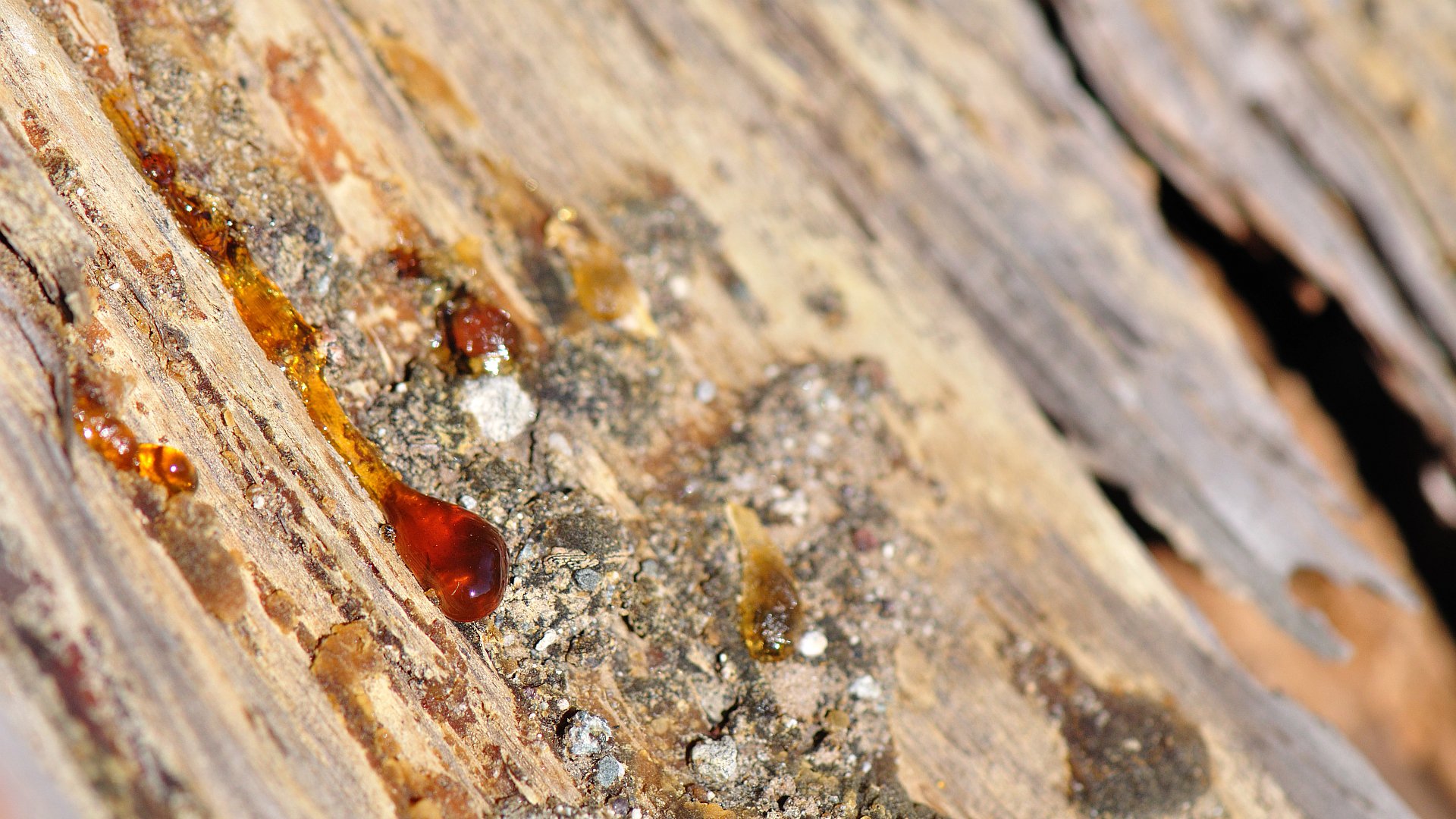 Почти как янтарь