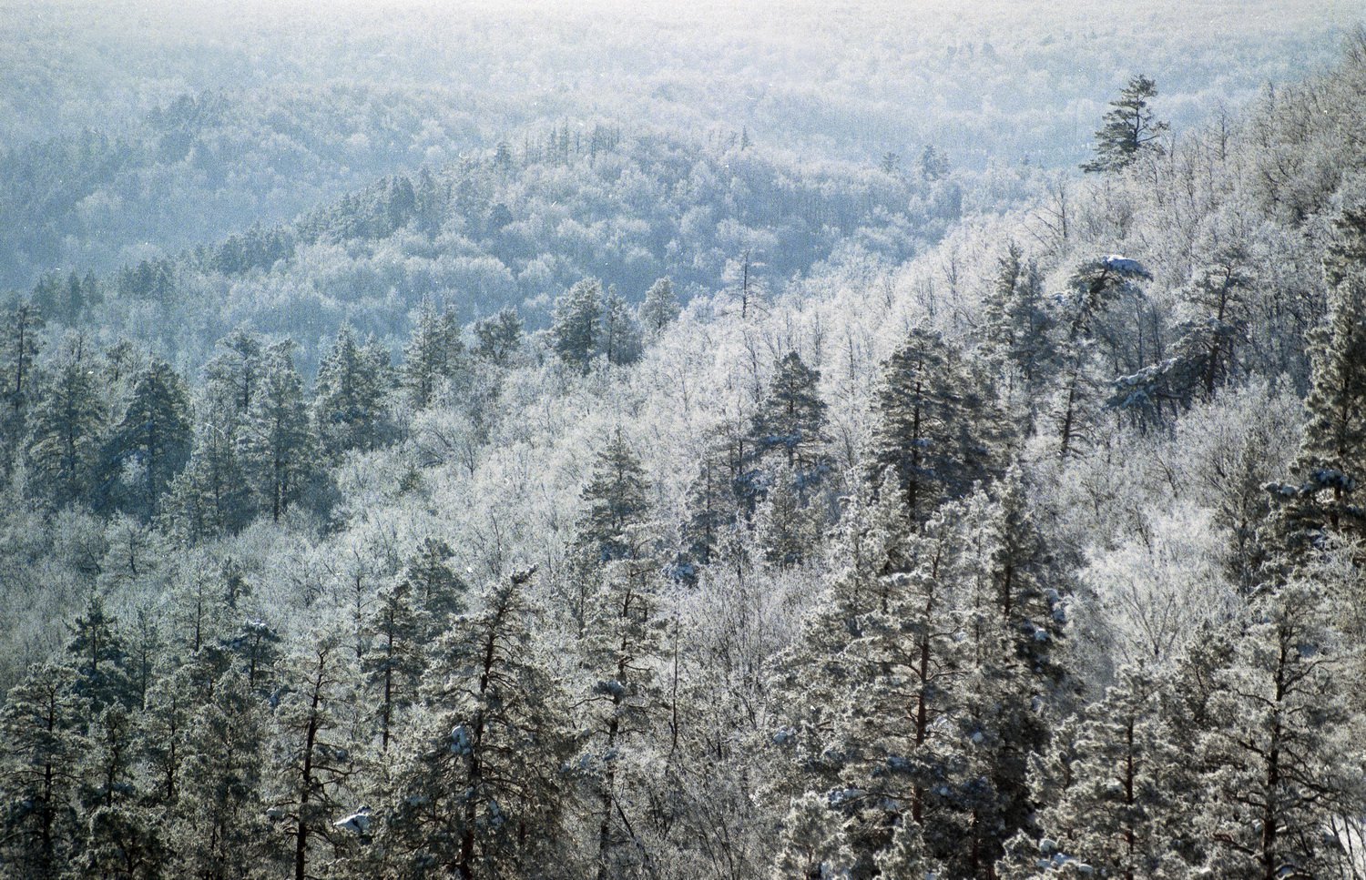 Зимние красоты гор
