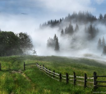 Украина. Карпаты. Дземброня. Дорога в туманный лес