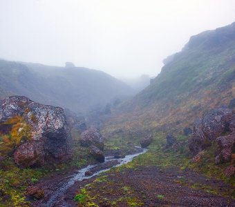 Чары Камчатки