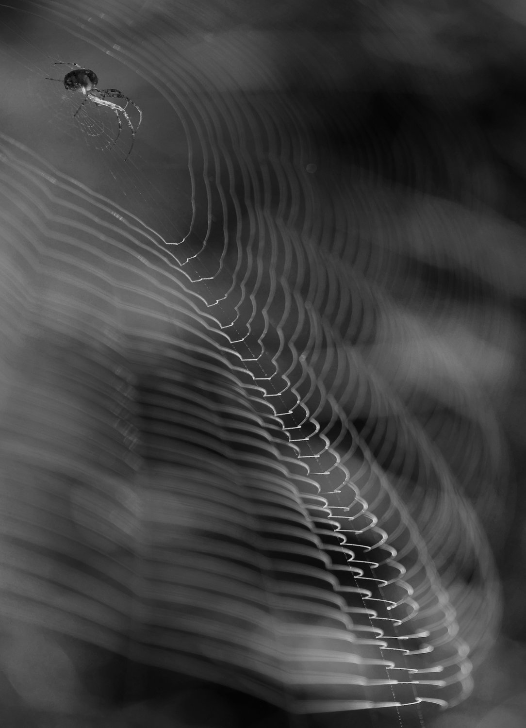 Ловись рыбка,большая и маленькая....