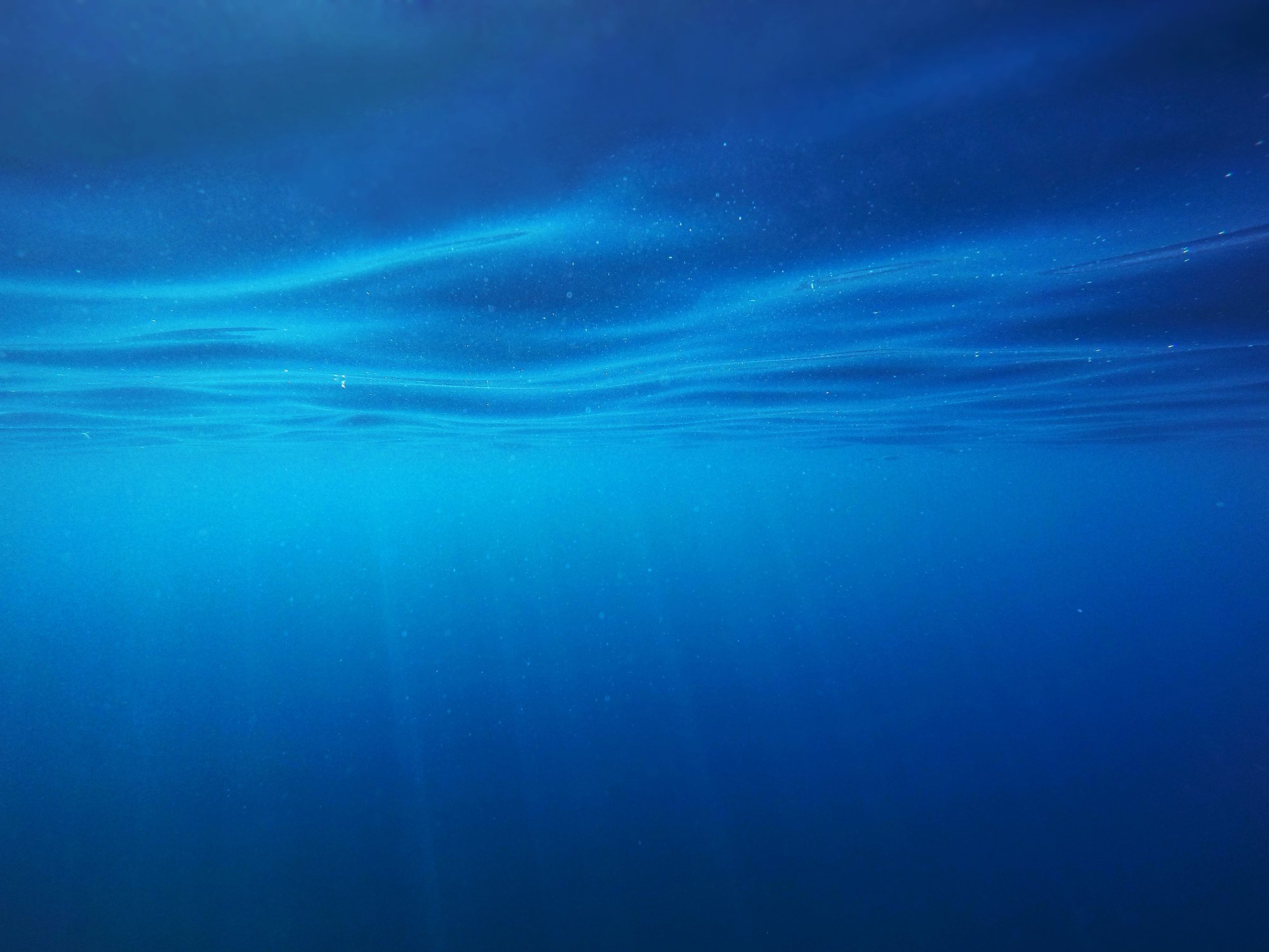 Вселенная под водой