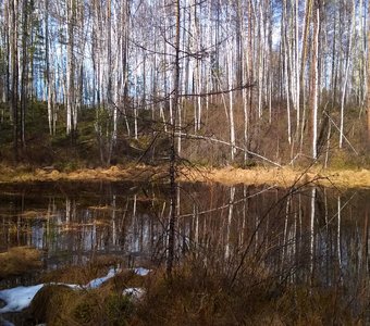 Озеро Подгорное. Озера погребенной долины Прамамакан. Из цикла "Магия таежных озер".