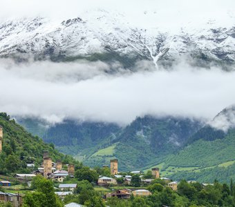 Жизнь в облаках