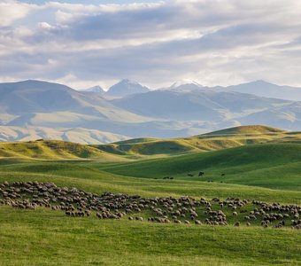 Плато Ушконыр, Тянь Шань