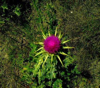 /upload/iblock/ebe/ebead920a90ebe21c46642c4e76aff82.jpg
