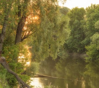 В теплых красках летнего вечера