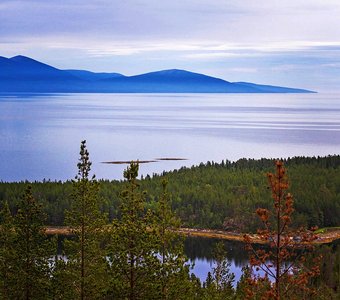 Кандалакшский залив