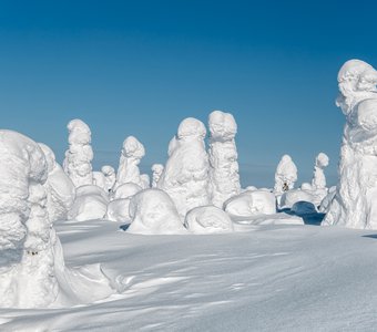 Окутанные снегом деревья на горе Нуорунен