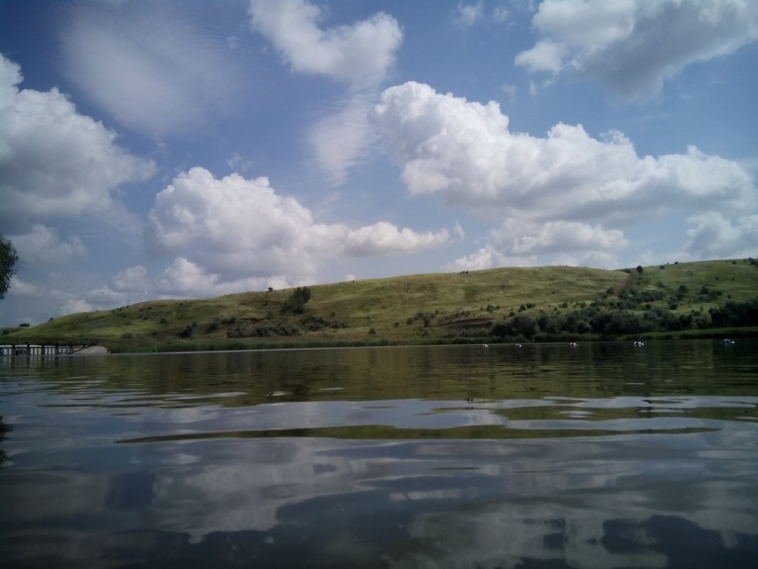 Водоемы ульяновской области проект