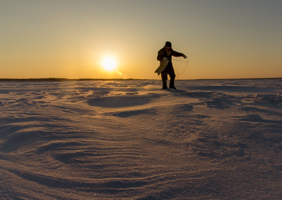 Snow Desert