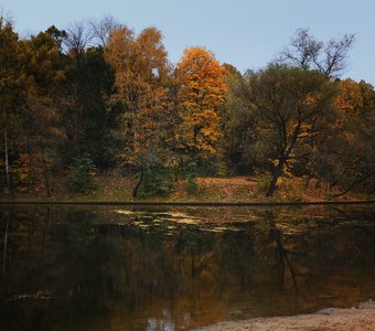 Золотая осень в Сокольниках