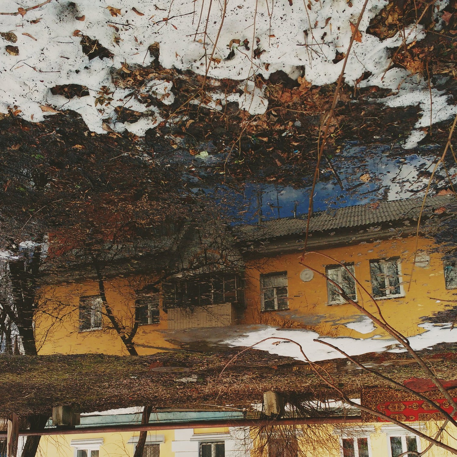 В царстве рябиновой королевы