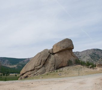 гора и черепаха