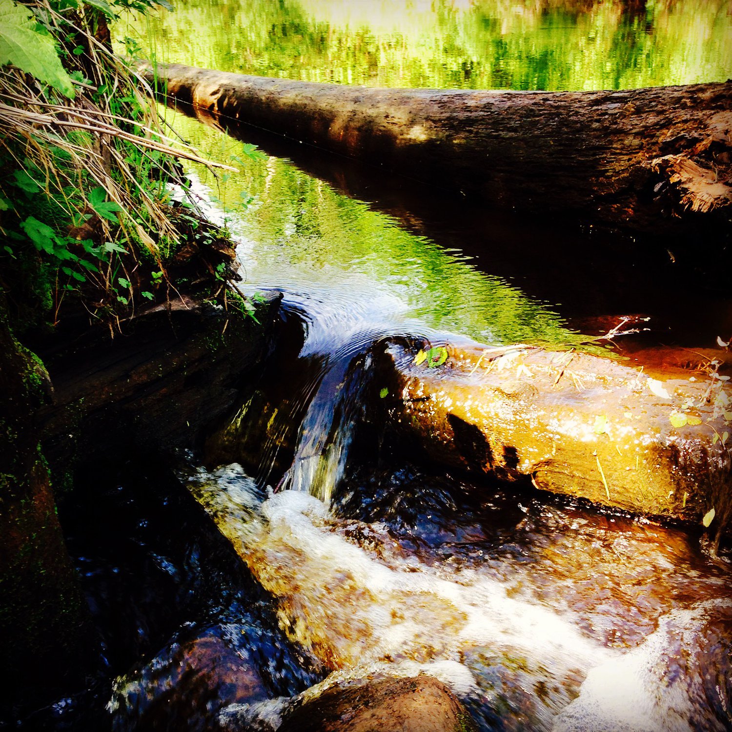 Размытые останки мельницы