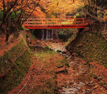 Осень в Киото .