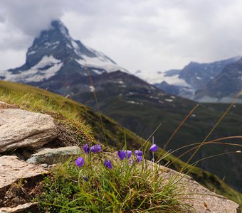 Matterhorn view, Switzerland