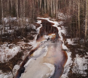 Весна на Беломорской равнине