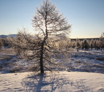 Долгожданные лучи солнца в горах Якутии
