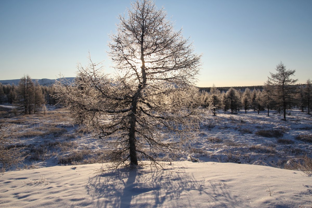 Долгожданные лучи солнца в горах Якутии