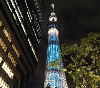 Tokyo Skytree