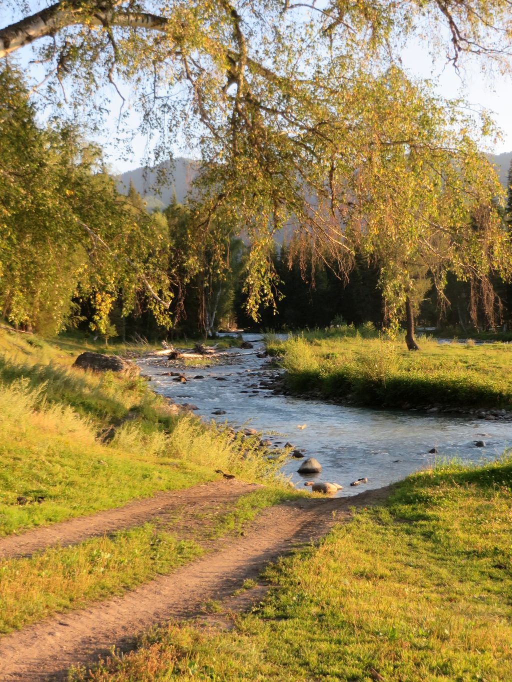 Согретая солнцем Катунь