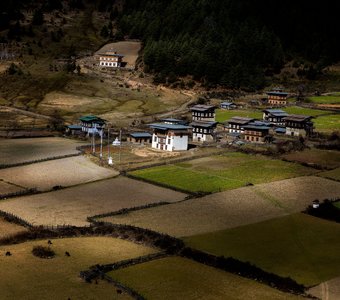 Из Тхимпу в Гангтей, Бутан