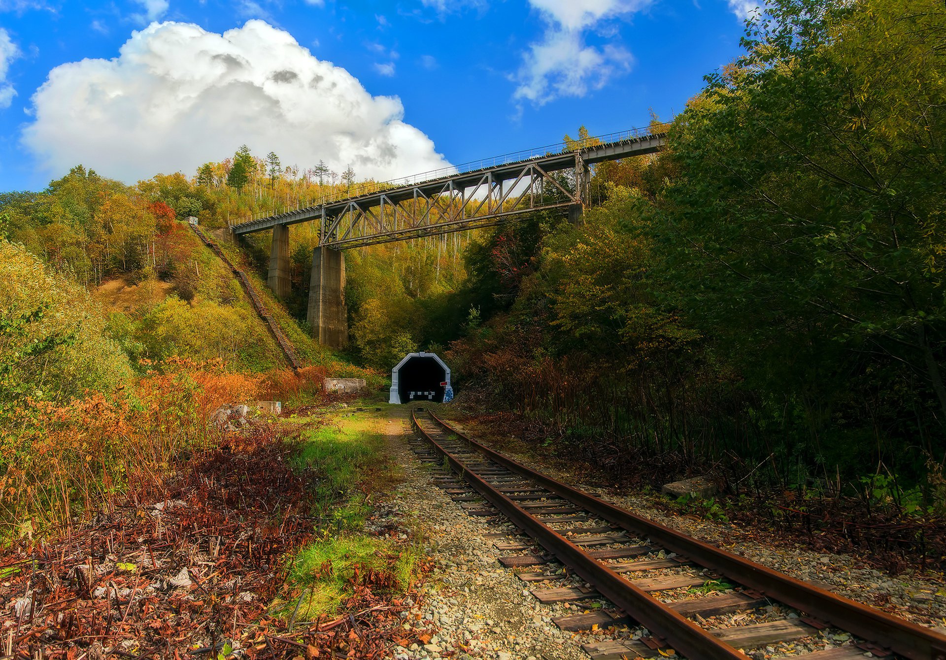 The former railway line Kholmsk - Yuzhno-Sakhalinsk.