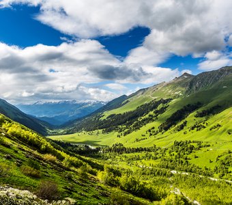 Цветущие склоны Архызских гор