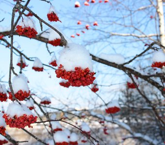 Под теплыми шапками