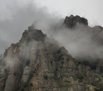 В предчувствии бури