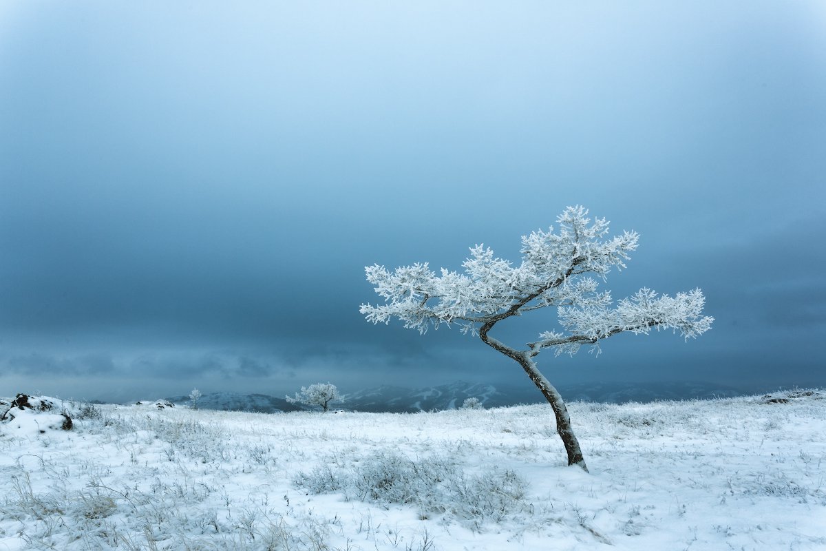 Кусочек Японии у озера Банное