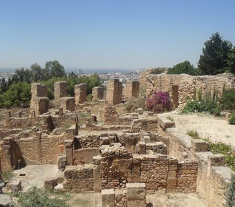 Развалины Карфагена. Тунис.