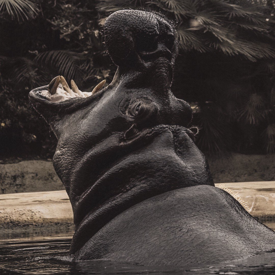 «соединение установлено»