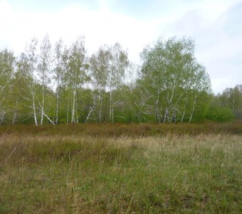 Цикл Богатство Урала — Уральский контраст