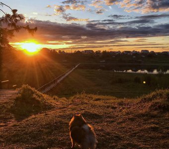 Прекрасный летний закат