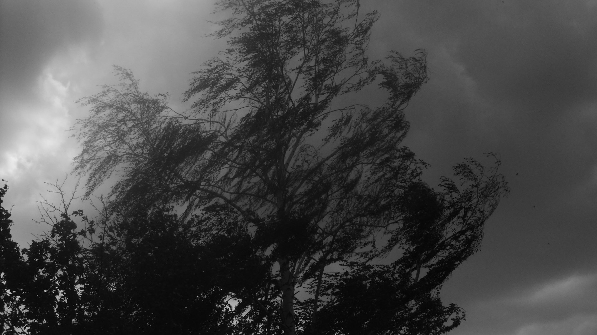 "За считанные минуты"