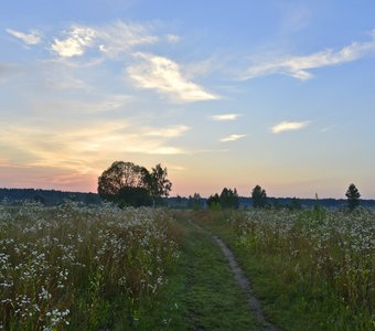 Hotylevo. Sunrise On Lane. Хотылево. Рассвет над тропинкой.