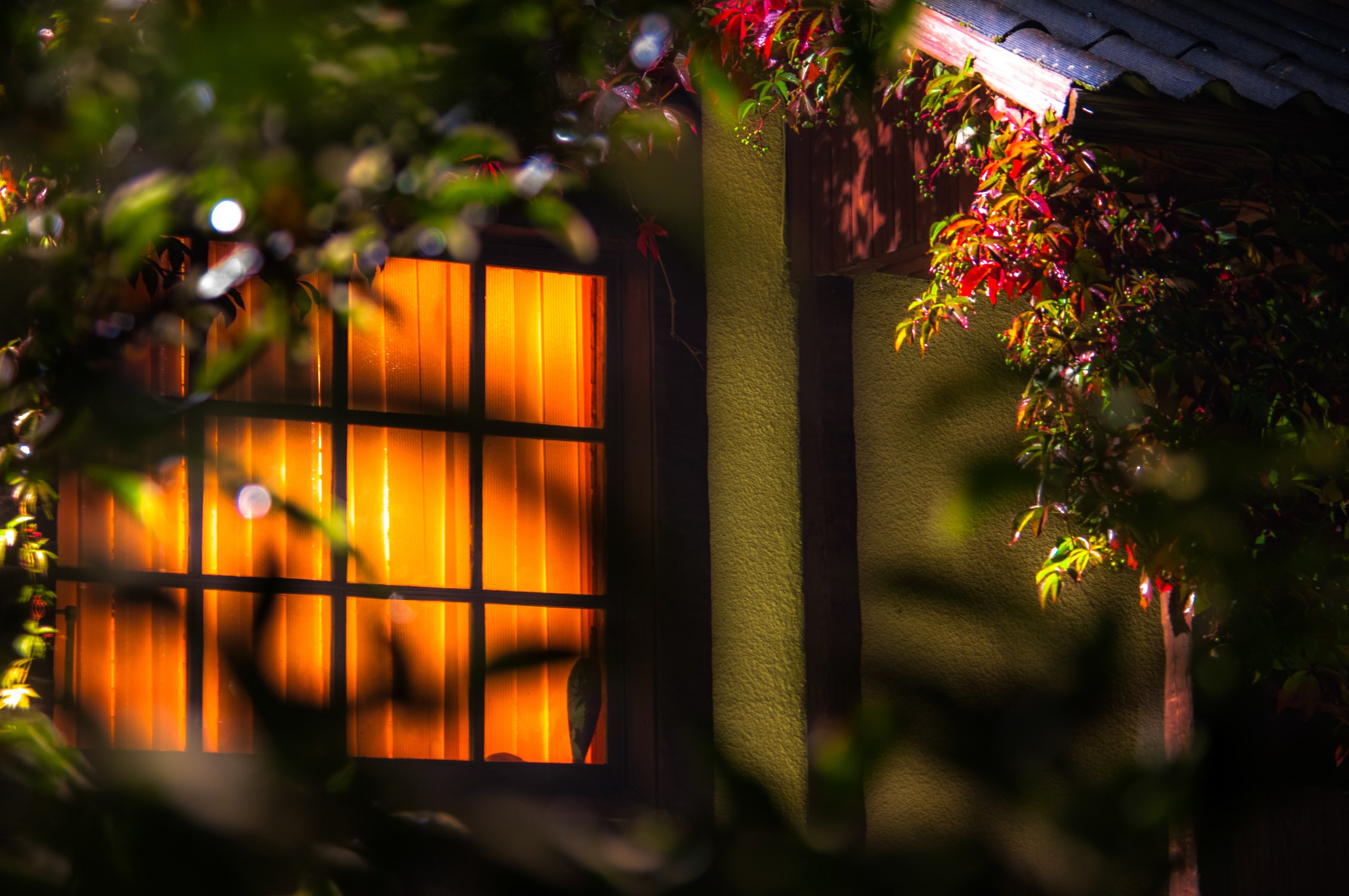 Яркое солнце светит в окна домов. Свет в окне. Окно вечер. Вечерние окна домов. Осень вечер окно свет.
