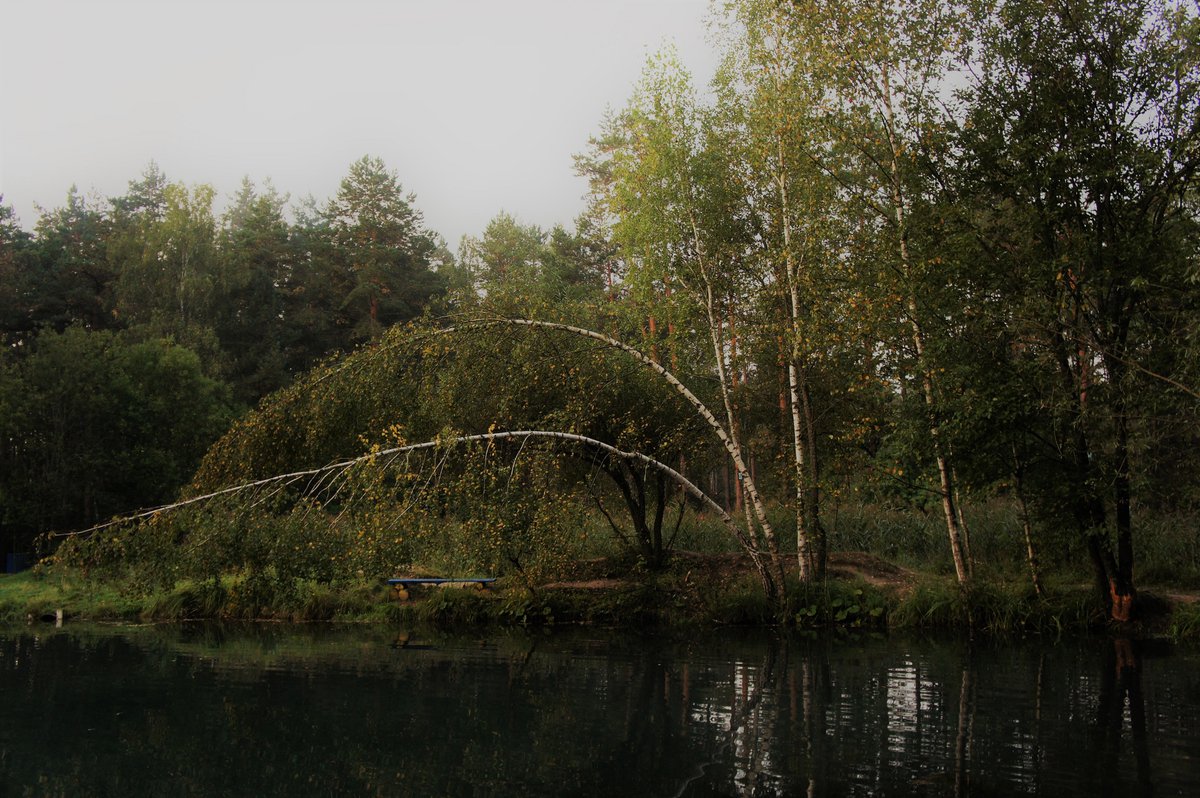 сероводородное озеро