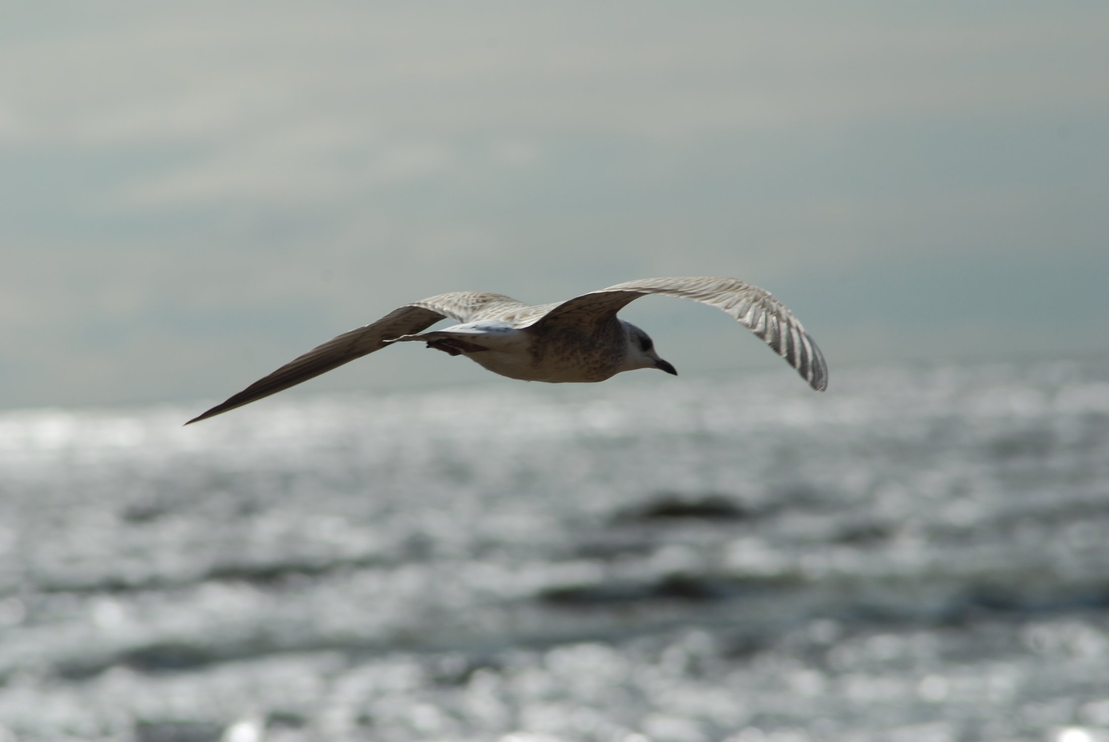 Свободный полет.