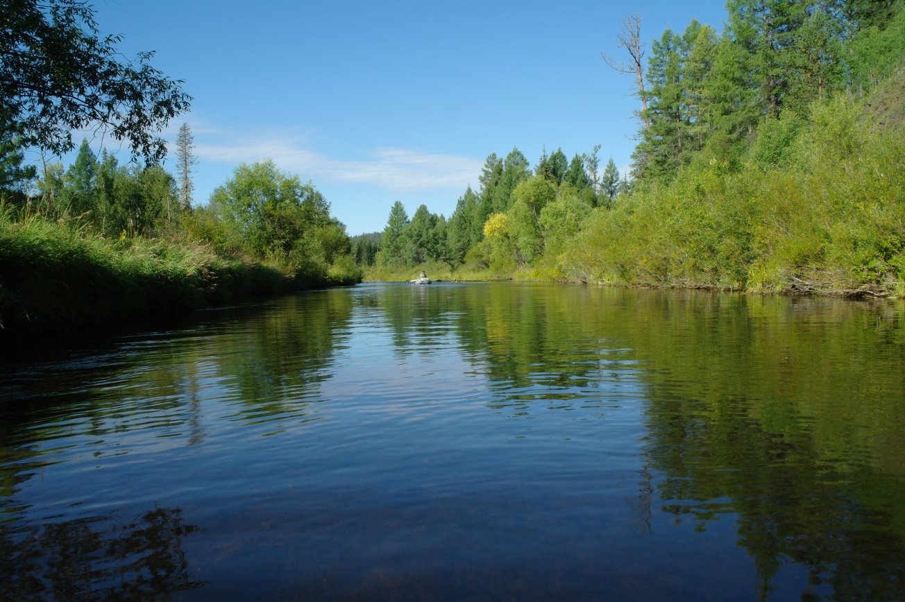 Сплав по реке Унго. Унго — река в Забайкальском крае, протекает по территории Петровск-Забайкальского района, левый приток Хилка. Сплавлялись 6 дней пройдено около 170 километров