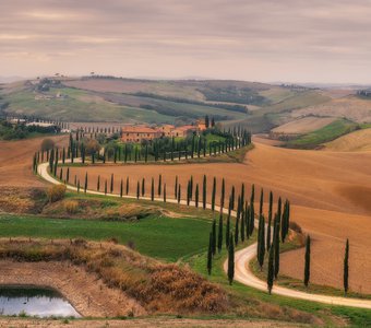 Италия. Тоскана. Панорама ландшафта у виллы Agriturismo Baccoleno